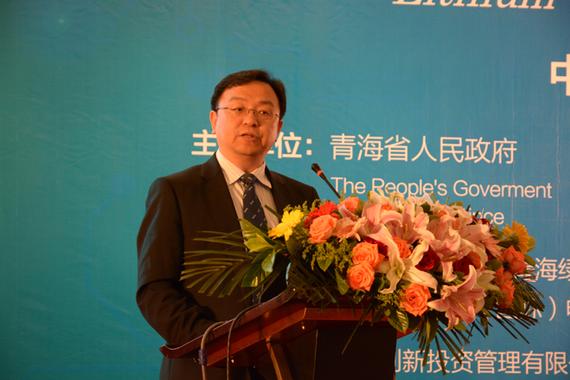 王传福:“十三五“中国锂电池会形成新业态