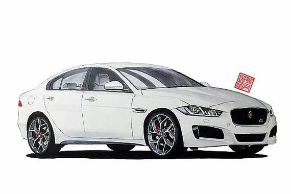 改装 | 不是所有“猫科动物”都懂得卖萌