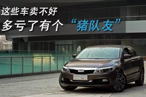 带着猪队友 好车卖不好还能怪谁？