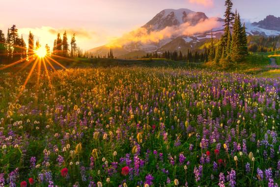 豪车与花不得不说的搭配 | 汽车内参