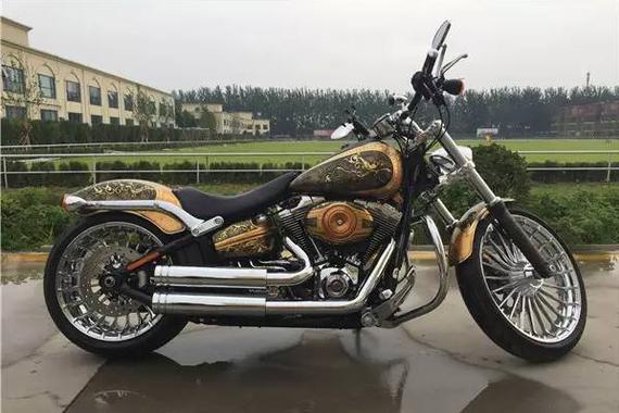 灵与肉的结合你爱吗 摩托车彩绘