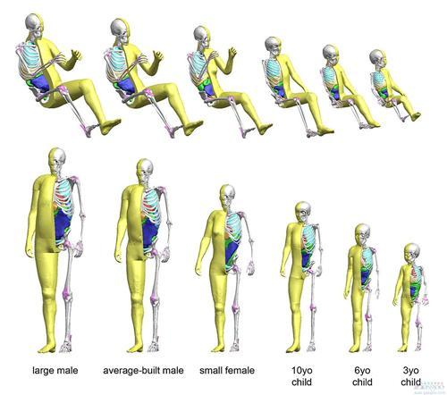 丰田将儿童模型加入虚拟轿车碰撞测试