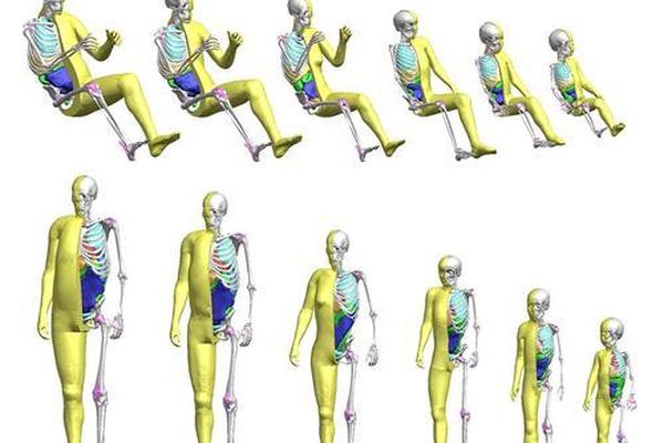 丰田将儿童模型加入虚拟轿车碰撞测试