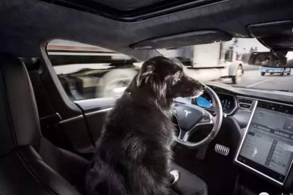 自动驾驶技术目前仍属辅助驾驶范畴