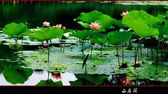 哪凉快哪呆着去!平均气温20℃自驾地推荐