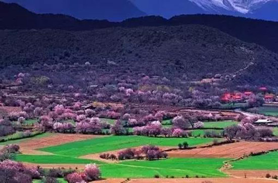 哪凉快哪呆着去!平均气温20℃自驾地推荐