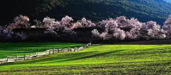 哪凉快哪呆着去!平均气温20℃自驾地推荐