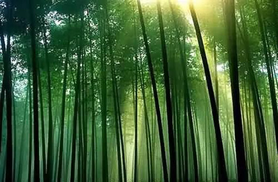 哪凉快哪呆着去!平均气温20℃自驾地推荐