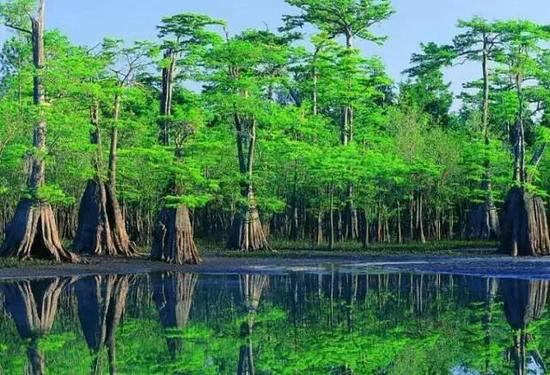 哪凉快哪呆着去!平均气温20℃自驾地推荐