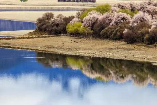 自驾去西藏的N种死法,你会选择哪一种?