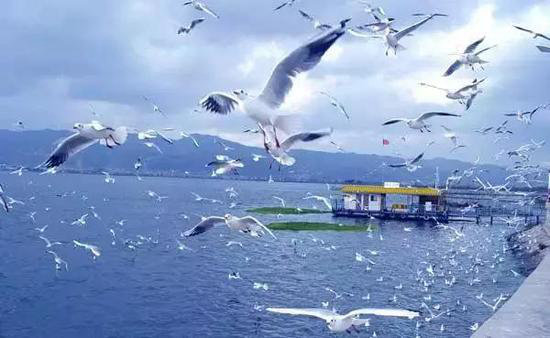 最适合夏天去的8大自驾地,你去过几个?