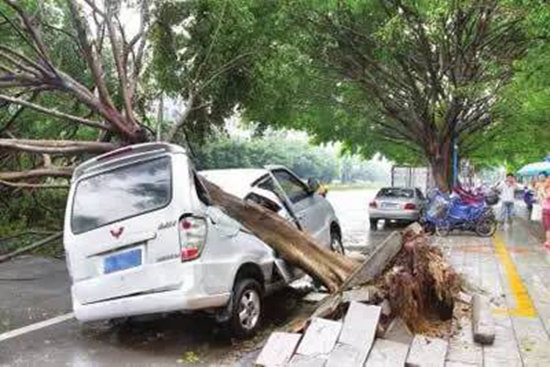 爱我就别泡我！自驾遇恶劣天气怎么停车