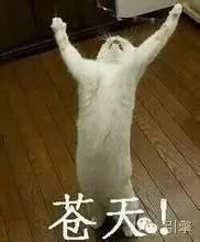 曾经的车市王者 如今的你为何如此落魄