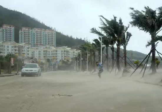 爱我就别泡我！自驾遇恶劣天气怎么停车