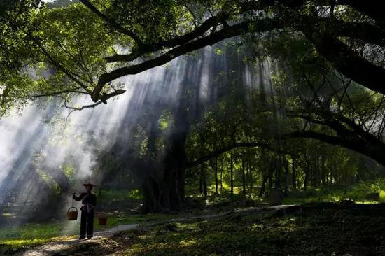 炎炎夏日 这些地方才是暑假的自驾好去处