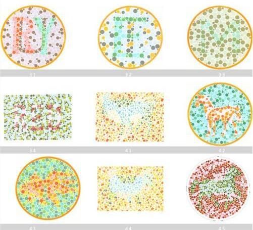 很多人考不到驾驶证 就因为这4张图