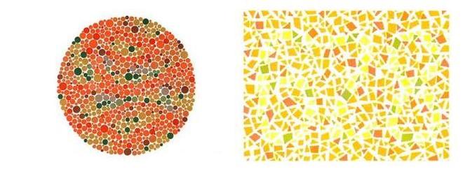 很多人考不到驾驶证 就因为这4张图