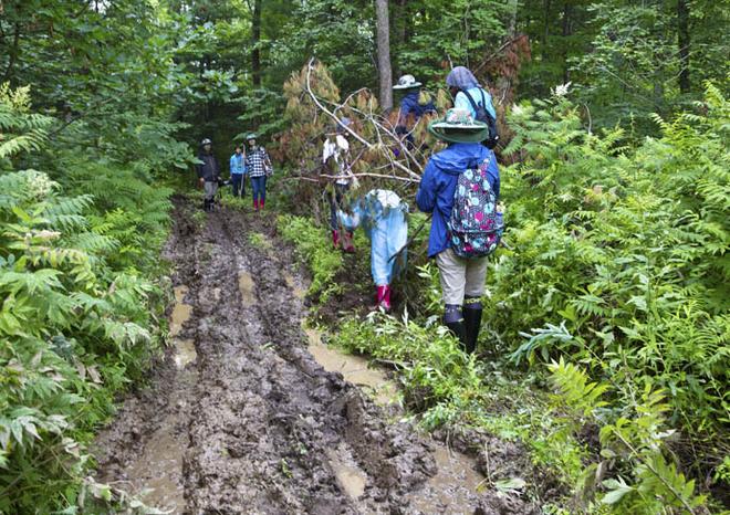 贵士为爱出发 打造经典星爱传奇