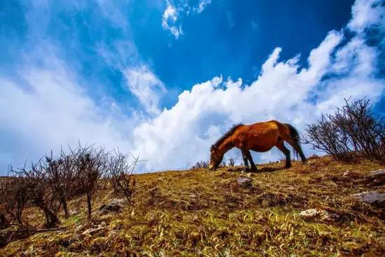 中国最美的30个自驾地 第一名竟然是...