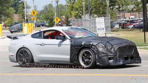 更野更快 福特野马 Shelby GT500谍照曝光