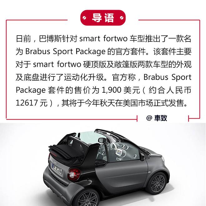 灰色小虎鲨 巴博斯smart fortwo套件