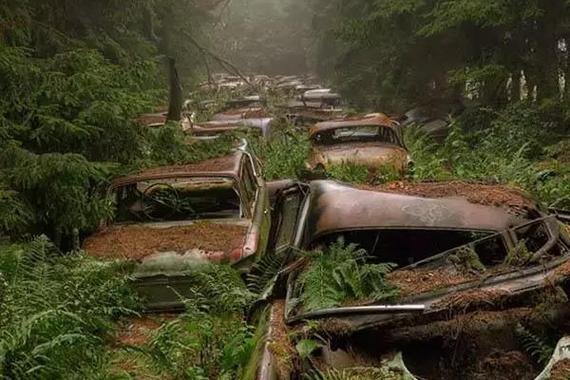 森林里的汽车墓地 车子报废后会去哪里吗