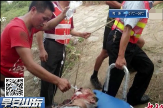 视频：江西客车追尾货车致6人亡8人伤