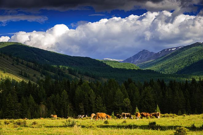 西行漫记—海马S5极境智驾之旅北疆行
