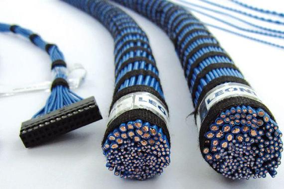 莱尼购武汉恒通51%股权成神龙汽车供应商