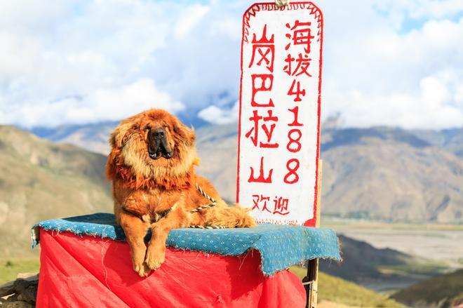 羊湖，与东风风神AX5一起翻山来看你