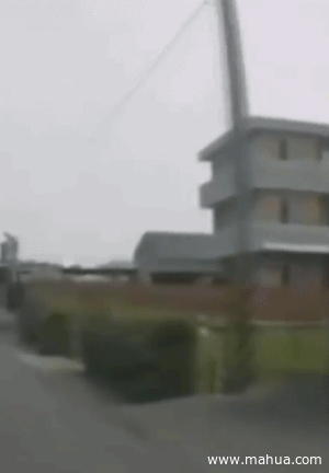 我只是好奇里面到底有什么?真没别的想法