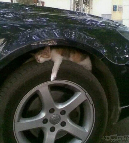 我只是好奇里面到底有什么?真没别的想法