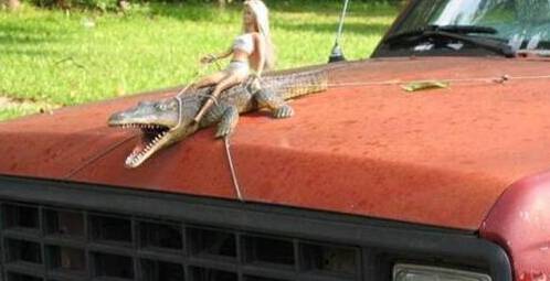 老司机你开太快了 吓死宝宝了