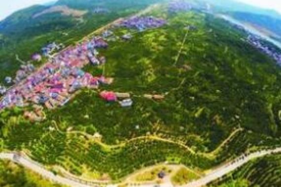 携手绿色衢州 共享“锂电”盛宴