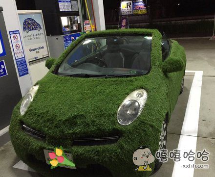 女司机！ 你是故意的吧！