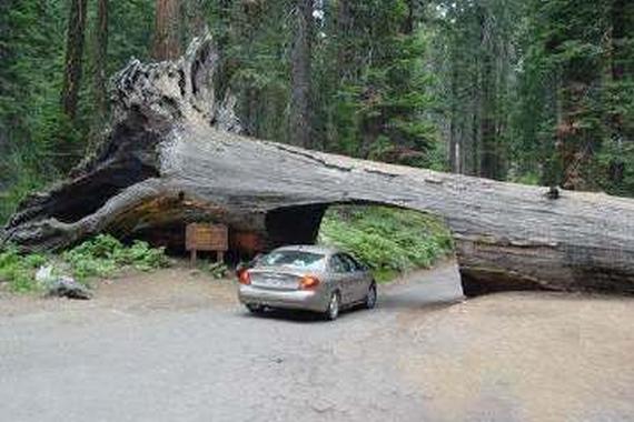 全球8个令人惊异的隧道 第一名在中国