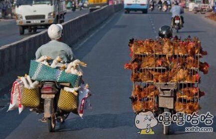 每日趣图|女孩子你这样小便！有伤风雅但有点小激动