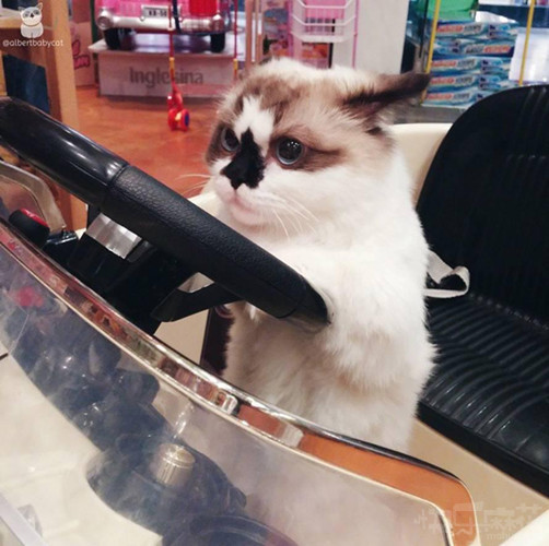 妹子你这表情很容易暴露你以前的职业啊