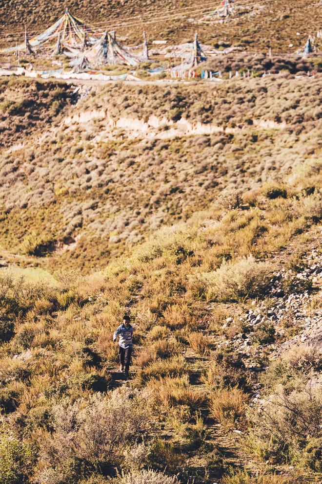 从林芝出发,转动藏秘之路