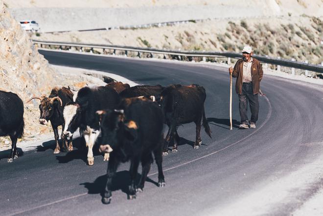 从林芝出发,转动藏秘之路