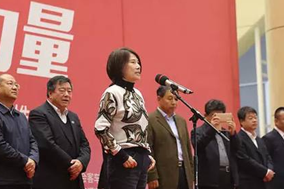 董明珠建最大钛酸锂工厂 电动车还将投350亿元 