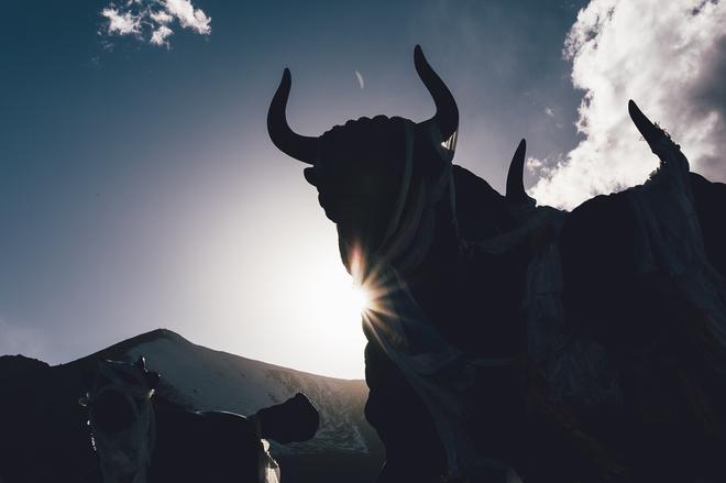 从林芝出发,转动藏秘之路