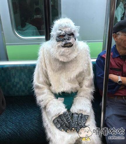 有胸器 我要不要邀请妹子进车里谈谈理想?