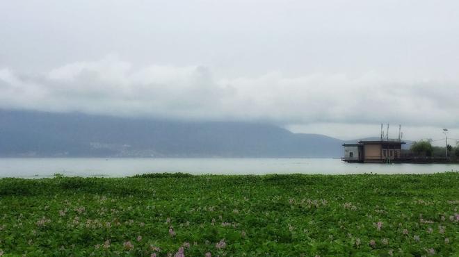 洱海旁,谁在你身边?