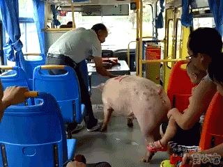 这么大还玩这种东西 让哥哥来教你好不?