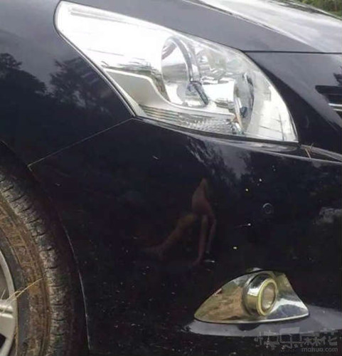 每日趣图|妹子你继续脱啊!我不介意的你跑啥