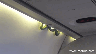 每日趣图|妹子你继续脱啊!我不介意的你跑啥