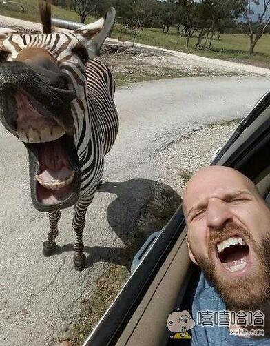 每日趣图|美女公交不许脱裤子,竟然还是内裤?