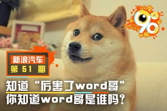 厉害了word哥?word哥前身大解密