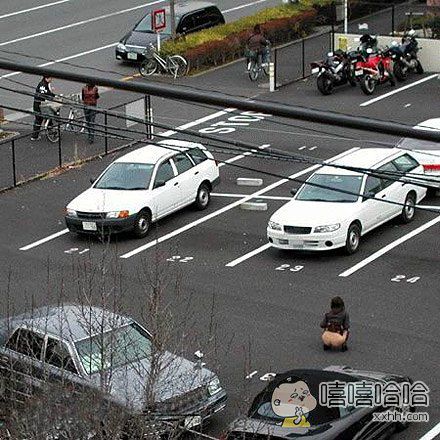 每日趣图|在马路上真憋不住了 妹纸的心声